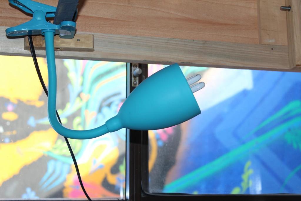 Blue Almond Hostel - San Andres חדר תמונה