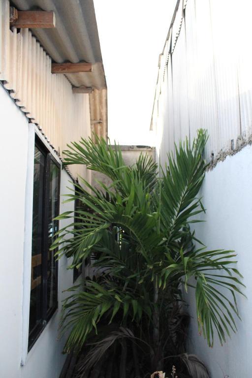Blue Almond Hostel - San Andres מראה חיצוני תמונה